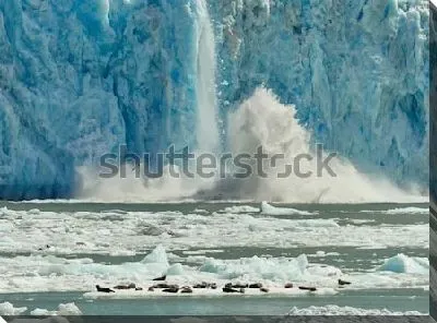 Морские тюлени на льдине на фоне огромного тающего ледника