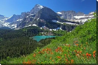 Картина маслом Великолепный весенний пейзаж с заснеженными скалами, хвойным лесом и голубым ледниковым озером со стороны цветущего склона в Национальном парке Глейшер (США, штат Монтана)