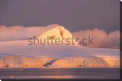 Очень красивый розово-сиреневый свет заката на ледниках в Антарктиде