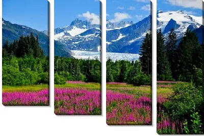 Прекрасный пейзаж цветущей долины Менденхолл с видом за заснеженные горы и высокий хвойный лес (Аляска)