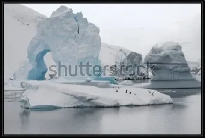 Стайка пингвинов на большой льдине на фоне ледника в Антарктиде