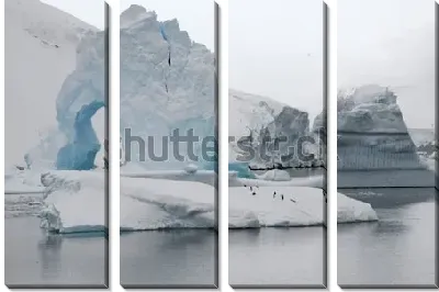 Стайка пингвинов на большой льдине на фоне ледника в Антарктиде