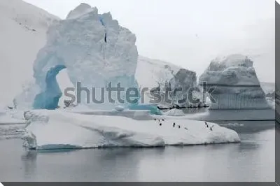 Стайка пингвинов на большой льдине на фоне ледника в Антарктиде