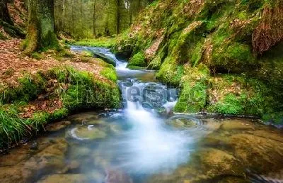 Плакат Сказочный лесной пейзаж с каскадным ручьём, впадающим в реку