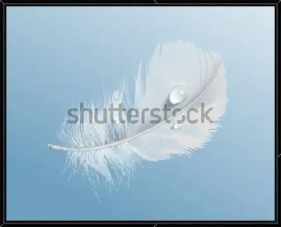 Белое мягкое птичье перо с каплями воды на синем фоне