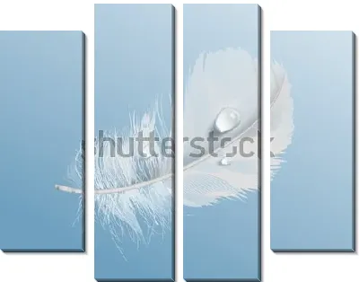 Белое мягкое птичье перо с каплями воды на синем фоне