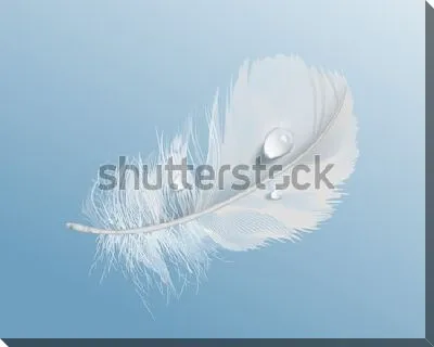 Белое мягкое птичье перо с каплями воды на синем фоне