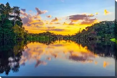 Волшебный закат в тропическом лесу с озером в Национальном парке Ясуни (Эквадор)