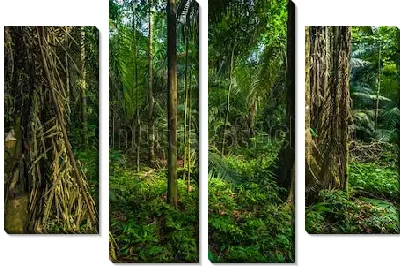 Модульная картина Тропические леса Амазонки в Национальном парке Ману (Перу)