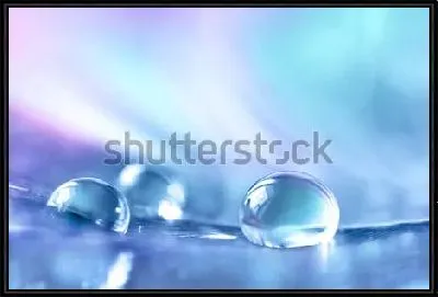 Красивые прозрачные капли росы на сине-фиолетовом фоне