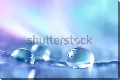 Красивые прозрачные капли росы на сине-фиолетовом фоне