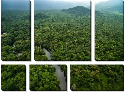 Модульная картина Вечнозелёные непроходимые тропические леса в дымке утреннего тумана (Южная Америка)