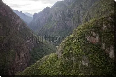 Величественные лесистые горы Медного Каньона (Мексика, штат Чиуауа)
