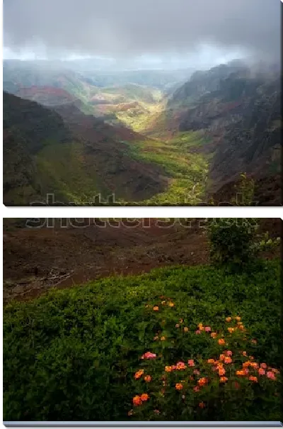 Модульная картина Сказочная панорама цветущего под облаками Каньона Ваимеа - крупнейшего каньона в Океании на острове Кауаи (США, Гавайские острова)