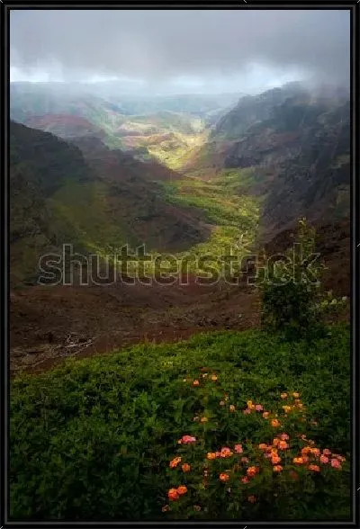 Картина Сказочная панорама цветущего под облаками Каньона Ваимеа - крупнейшего каньона в Океании на острове Кауаи (США, Гавайские острова)