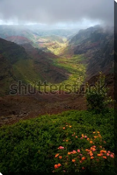 Постер Сказочная панорама цветущего под облаками Каньона Ваимеа - крупнейшего каньона в Океании на острове Кауаи (США, Гавайские острова)