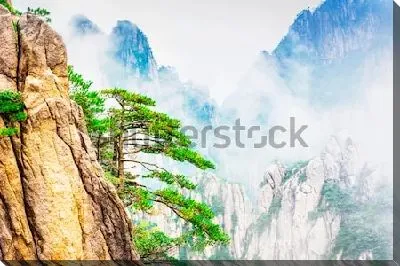 Постер Сказочный пейзаж каньона Хуаншань с живописными соснами на жёлтых гранитных скалах под облаками (Китай)