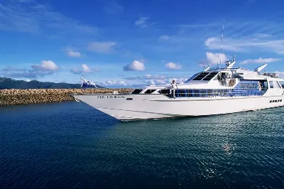 шаблон id 38