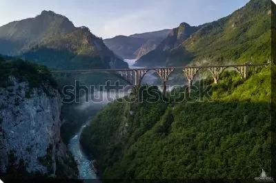 Картина маслом Великолепная панорама красивых лесистых гор со знаменитым воздушным арочным мостом Джурджевича через реку Тара (Черногория)