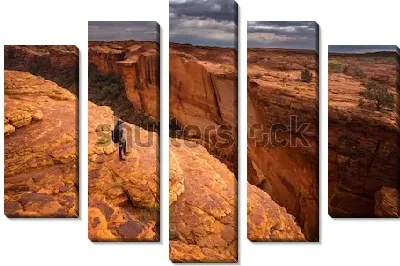 Модульная картина Захватывающий пейзаж Королевского Каньона в Национальном парке Ватаррка (Австралия)