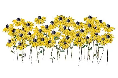 Снежная лавина в скалистых горах