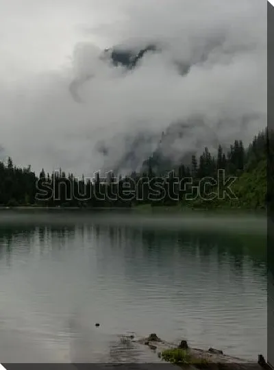 Постер Мистический пейзаж с густым туманом над хвойным лесом у озера