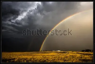 Картина Великолепный пейзаж с радугой над жёлтым полем после грозы