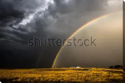 Постер Великолепный пейзаж с радугой над жёлтым полем после грозы