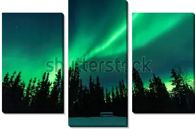 Модульная картина Северное сияние над высоким хвойным лесом