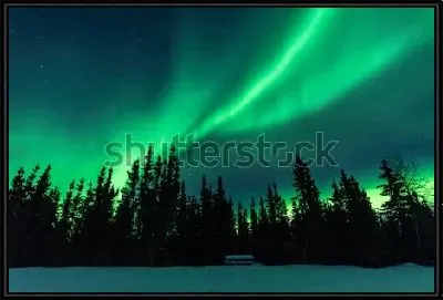 Картина Северное сияние над высоким хвойным лесом