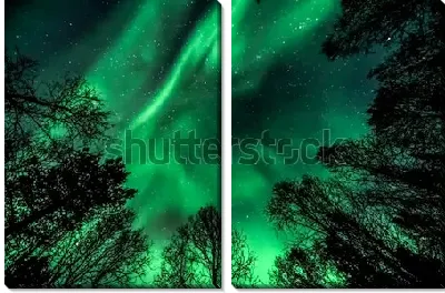 Модульная картина Невероятное зелёное пламя северного сияния над макушками деревьев
