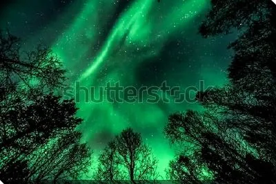 Постер Невероятное зелёное пламя северного сияния над макушками деревьев