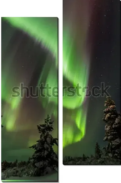 Модульная картина Зрелищное северное сияние в небе над зимним хвойным лесом