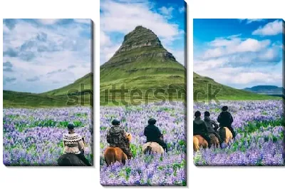 Модульная картина Путешественники на лошадях едут по прекрасному цветущему полю с видом на гору Киркьюфетль (Исландия)