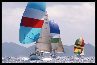 Картина Парусник №58