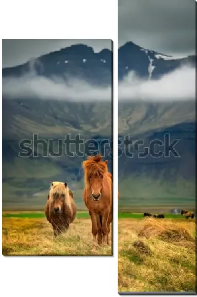 Модульная картина Исландские рыжие лошади на фоне величественных гор (Исландия)