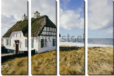 Модульная картина Красивый датский дом на пляже полуострова Ютландия (Дания)