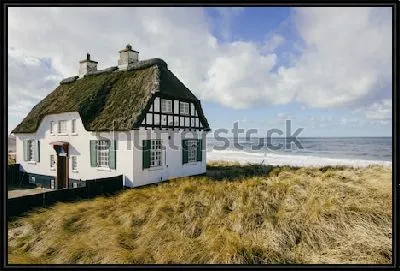 Картина Красивый датский дом на пляже полуострова Ютландия (Дания)