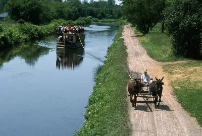 шаблон id 38