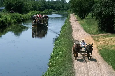шаблон id 38