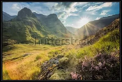 Картина Великолепный вид на живописную цветущую долину Гленко на юго-западе Хайленда (Шотландия)