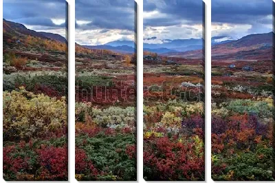 Модульная картина Великолепный осенний пейзаж разноцветных горных долин Северной Швеции