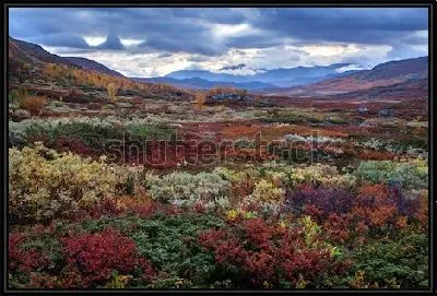 Картина Великолепный осенний пейзаж разноцветных горных долин Северной Швеции