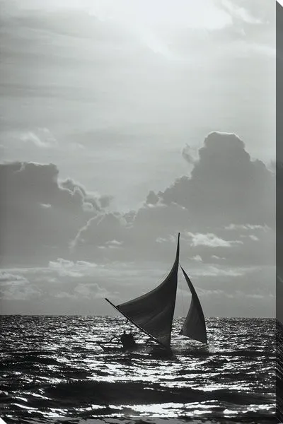 Постер Парусник №87