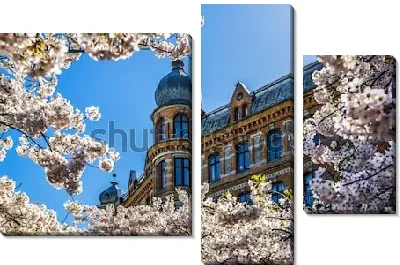 Модульная картина Великолепный весенний Гётеборг с цветущими вишнёвыми деревьями на фоне красивого дворца