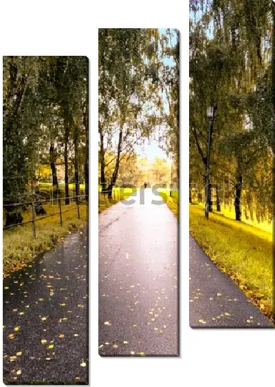 Модульная картина Красивая аллея в берёзовой роще после дождя