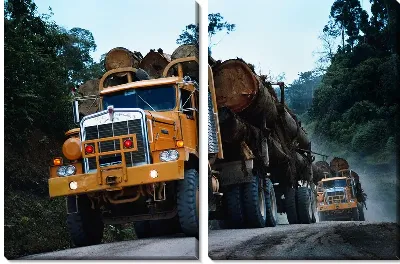 Модульная картина Грузовик №17