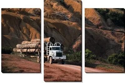 Модульная картина Грузовик №24