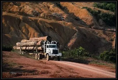 Картина Грузовик №24