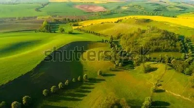Плакат Великолепная панорама с жёлто-зелёными холмами и полями Моравии (Чехия)